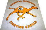 Campbell University Fighting Camels