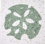 Estrie Sand Dollar