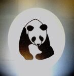 Panda mondo rubber