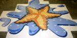 Starfish