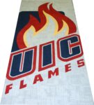 University of Illinois At Chicago 15' X 6' - 6" Interfaceflor Carpet Tiles Designed By 49 Degrees Shown Prior To Installation