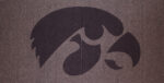 University of Iowa 18" X 36" Cut From C&A And Interfaceflor Carpet Tiles Shown Prior To Installation